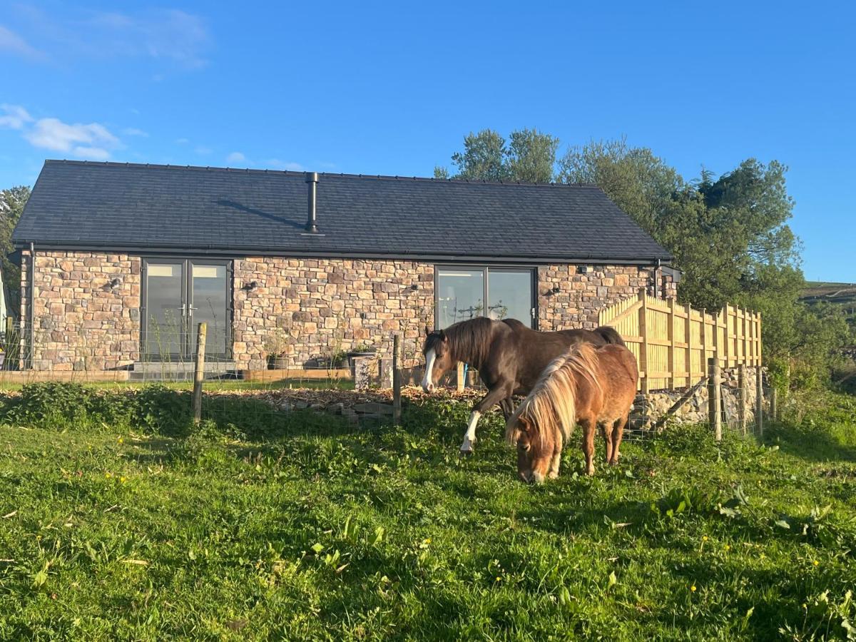 Hedd Wen Villa Llanllyfni Bagian luar foto