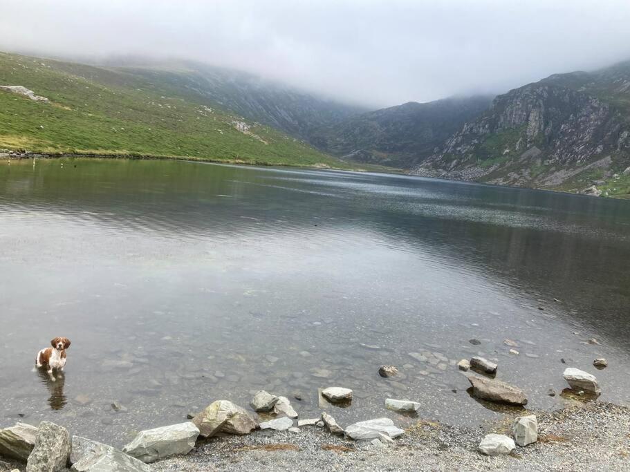 Hedd Wen Villa Llanllyfni Bagian luar foto