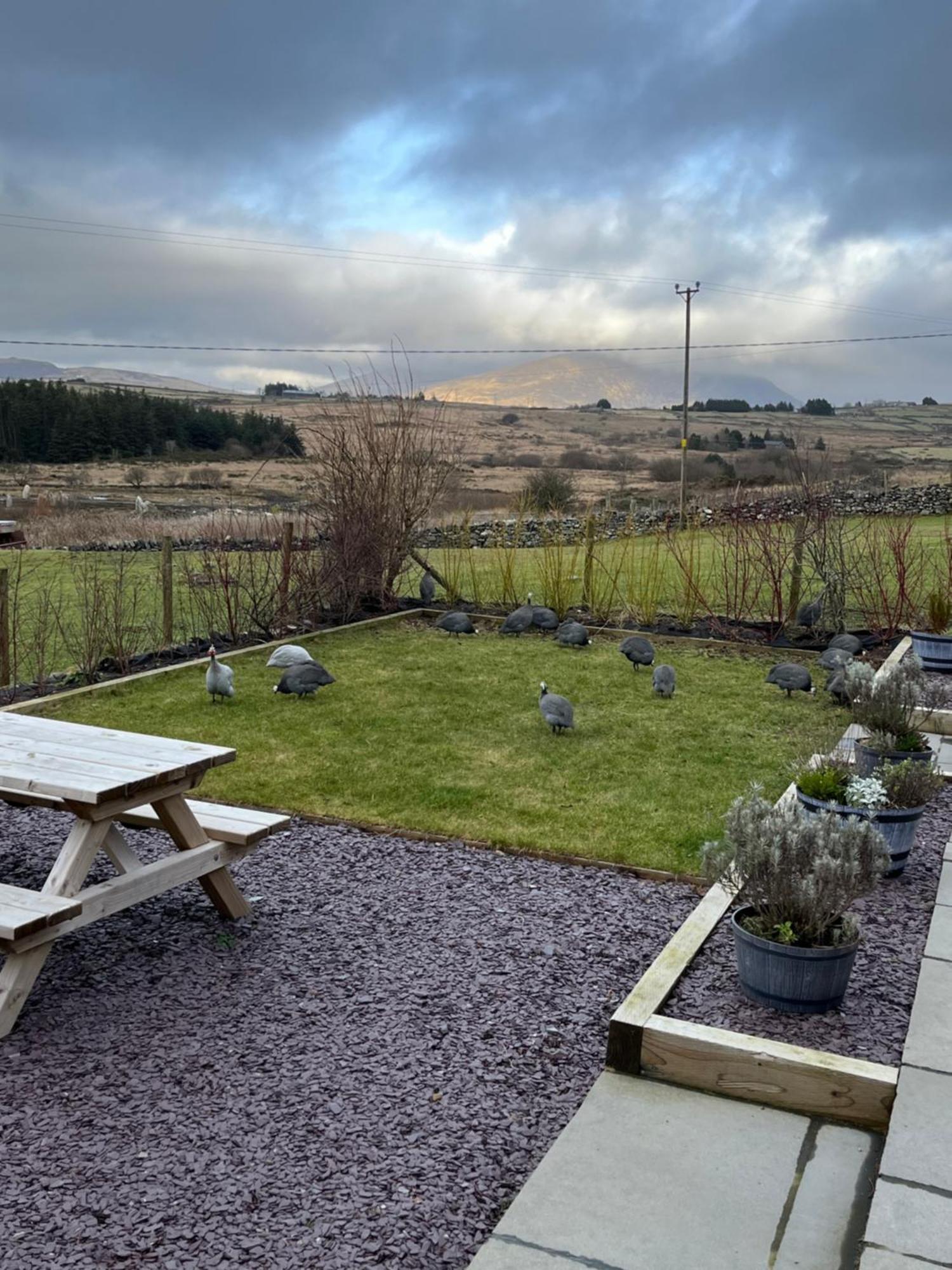 Hedd Wen Villa Llanllyfni Bagian luar foto